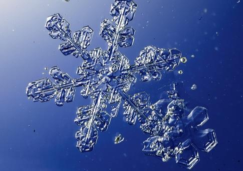 net/images/snowflake.