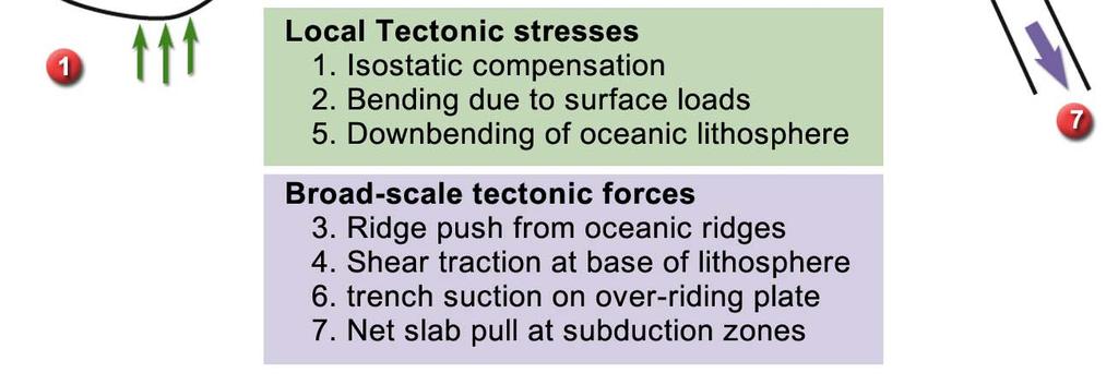 Sources of tectonic stress are of great interest to geodynamics, paritcularly if variations in stress can be interpreted in terms of