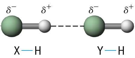 Hydrogen Bonding A special form of