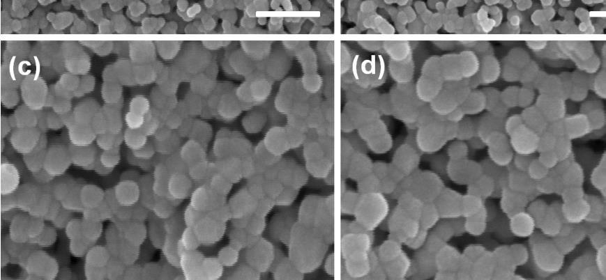 7 shows the LaFeO 3 /rgo sample annealed at N 2 atmosphere it shows that surface of curled GO nanosheets is packed densely with LaFeO 3 nanoparticles, which