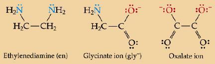 - Bidentate ligands bond using the electron pairs of