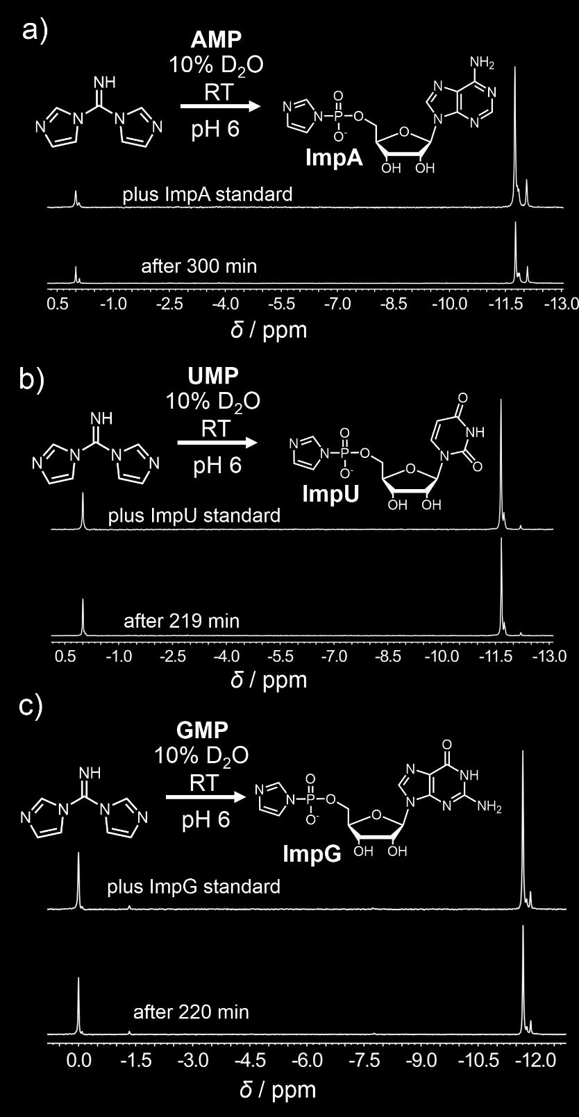 Figure S11. Im2CNH enables activation of all four canonical RNA monomers. Reactions of 1 M Im2CNH at ph 6 in 10% D2O at RT with 0.1 M of a) AMP, b) UMP and c) GMP.