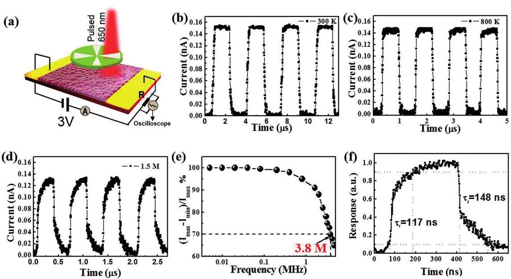 d) Both responsivity and specific detectivity of the perovskite heterojunction under 254 nm light illumination with different intensities.