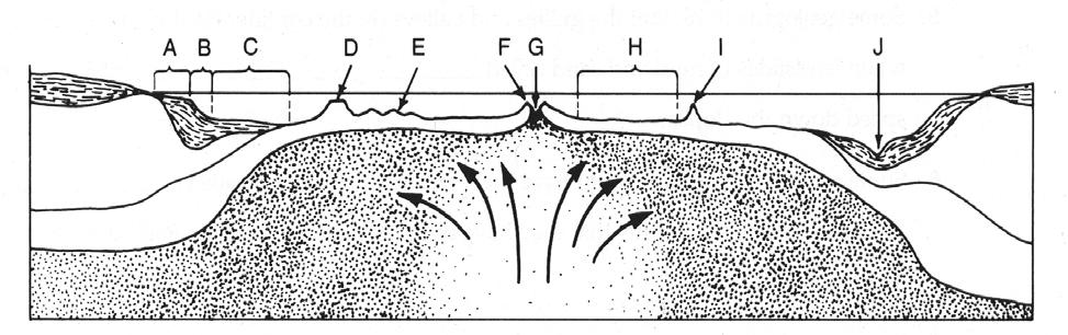 Features of the Ocean Floor Identify the following topographic features of the ocean floor on the following diagrams: continental shelf A spreading ridge F subducting plate continental slope rift