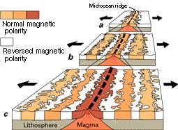 MAGNETIC STRIPING WAS PRODUCED Y REPEATED REVERSALS OF THE EARTH'S MAGNETIC FIELD 2.