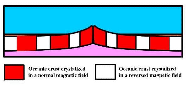 AS MOLTEN LAVA SOLIDIFIED ITS MAGNETIZATION WAS IN THE DIRECTION OF THE LOCAL MAGNETIC FORCE AT