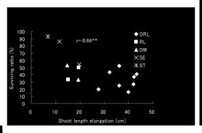 glaberrima) showed higher shoot elongation during submergence and a higher lodging score after desubmergence than other genotypic groups.
