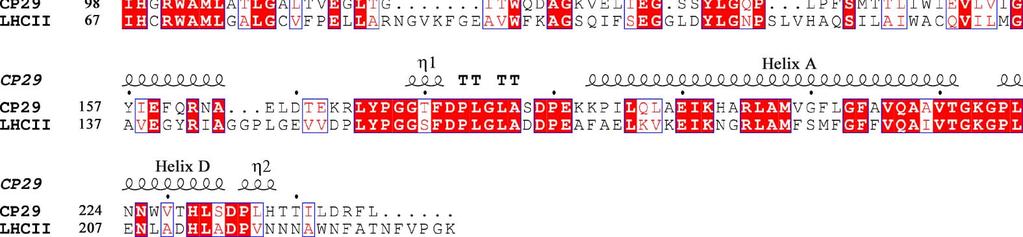 Supplementary Figure 2 Sequence alignment of spinach CP29 and LHCII. The secondary structure of CP29 is shown above the alignment.