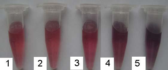 Fig. S7 The selectivity of MPA-Au NPs for antibiotics (1 μm streptomycin, penicillin, ampicillin, neomycin, carbenicillin and chloramphenicol), ions (1 μm KCl, NaCl, CaCl 2, Cd(ClO 4 ) 2, Hg(ClO 4 )
