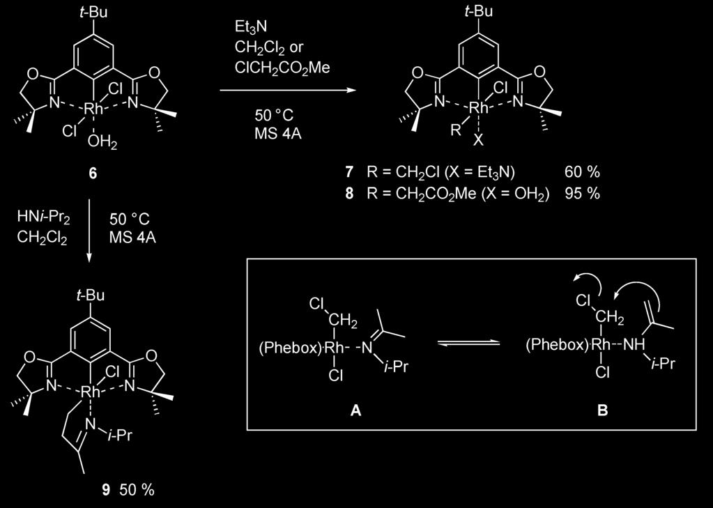 An efficient auxiliary for asymmetric catalysis 745 Scheme 3 Reduction, oxidative addition, and formation of rhodaazacyclopentene.
