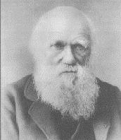 Darwin Darwin Observed adaptations of organisms in diverse habitats (jungle, islands, mountains) Although he saw differences in the organisms he encountered, all of the organisms were quite different
