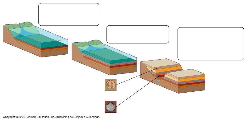 3 As sea levels change and the seafloor is pushed upward, sedimentary rocks are exposed.