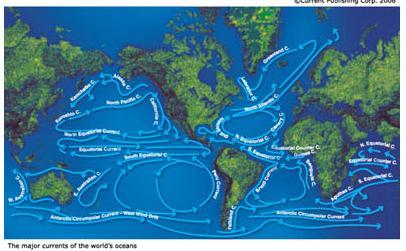 North Atlantic Gyre South Atlantic Gyre North