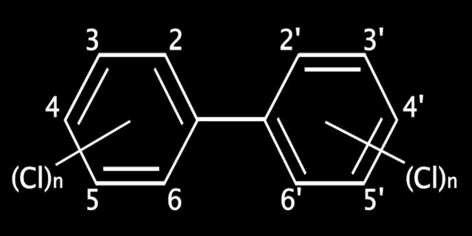 What are PCB Congeners? A congener is a specific chlorine substitution pattern on a biphenyl ring.