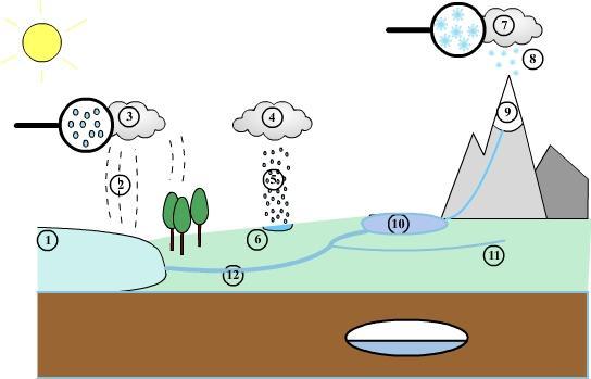 1. Label the parts of the water cycle. 1. 2.
