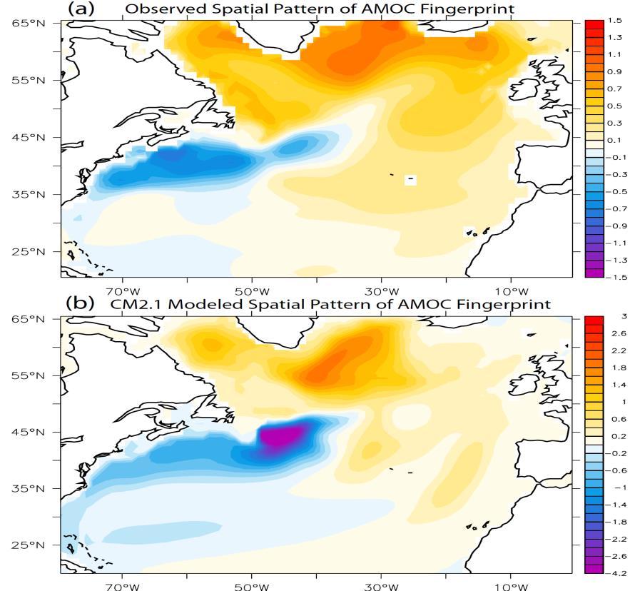 among Subpolar NA SST, SSS, UOHC/UOSC anomalies associated with the AMV and the AMOC