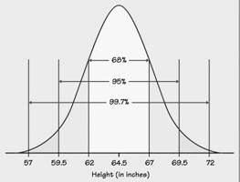 Normal Curve Example John collected data on the heights of women ages 18 to 24. He found that the distribution was roughly normal, with a mean of 64.5 inches 