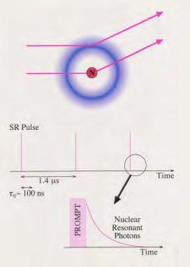 How to get Nuclear Scattered Photons Forbidden reflections for the electronic Thomson Scattering by using an