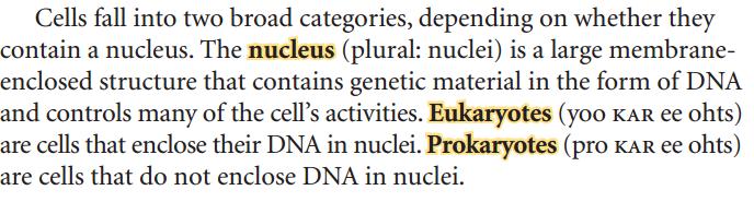 Nucleus: large membrane enclosed structure that contains genetic information in the form of DNA and controls many of the