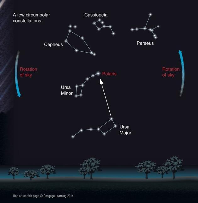 North Circumpolar Constellations Constellations visible year-round