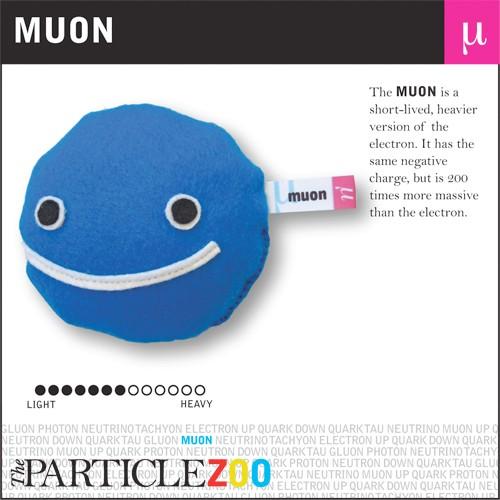The Muon A muon is a negatively charged particle, similar to an electron, but about 200