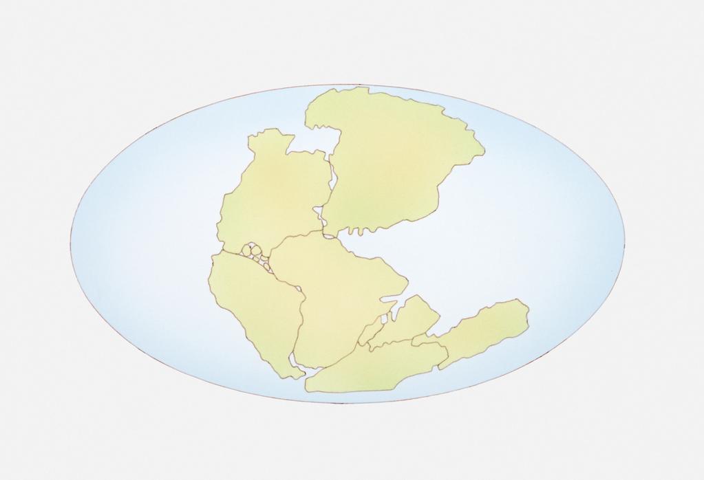5 (a) In 1912 Alfred Wegener proposed the theory that the continents on the Earth could move and were once arranged as shown in the diagram below.