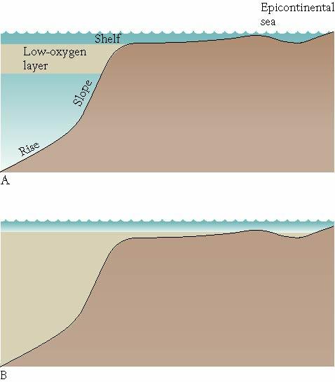 Mesozoic Climate Cenozoic Climate Oceans stagnated Epicontinental black muds when