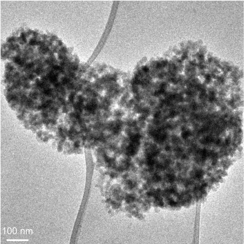 Figure S15. Solids extracted from a growth solution with a C1 molar composition that was aged for 24 h at room temperature. The solution was prepared using LUDOX SM-30 as the silica source.