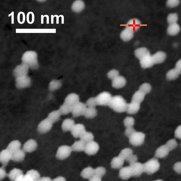 Figure S20. Scanning transmission electron microscope (STEM) image of the sample used to obtain an EDS line scan of core-shell precursor particles.