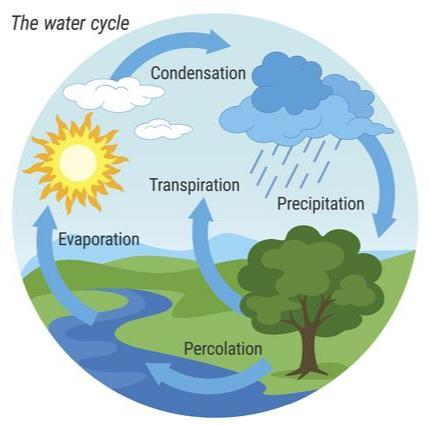 FOUR ELEMENTS OF CLIMATE What causes precipitation? The air cools and reaches its dew point.