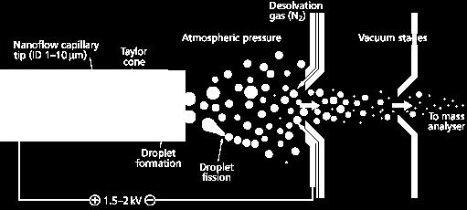 Nanospray ionization - A low flow rate version of electrospray.