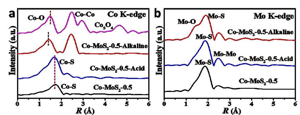 Fig. S9 (a) The Co K-edge k 2 -weighted EXAFS spectra of Co 3 O 4 for