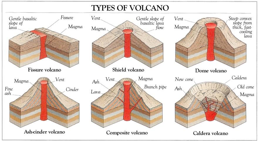 Volcanoes Volcanoes form primarily from subduction activity and magma rising at divergent plate boundaries.