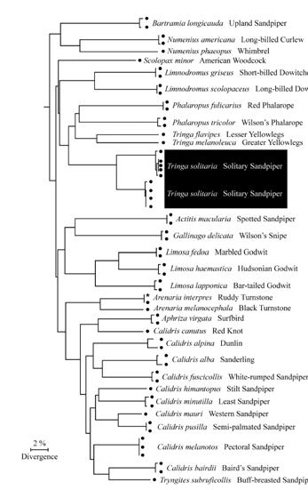 DNA barcoding Relies on Interspecific variation >> intraspecific variation (Whinnett, A. et al. 2005. Proc. R. Soc.