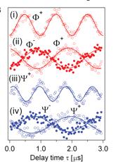 Polarization, control, and readout of nuclear spins in diamond Observation of coherent oscillation of a single nuclear spin