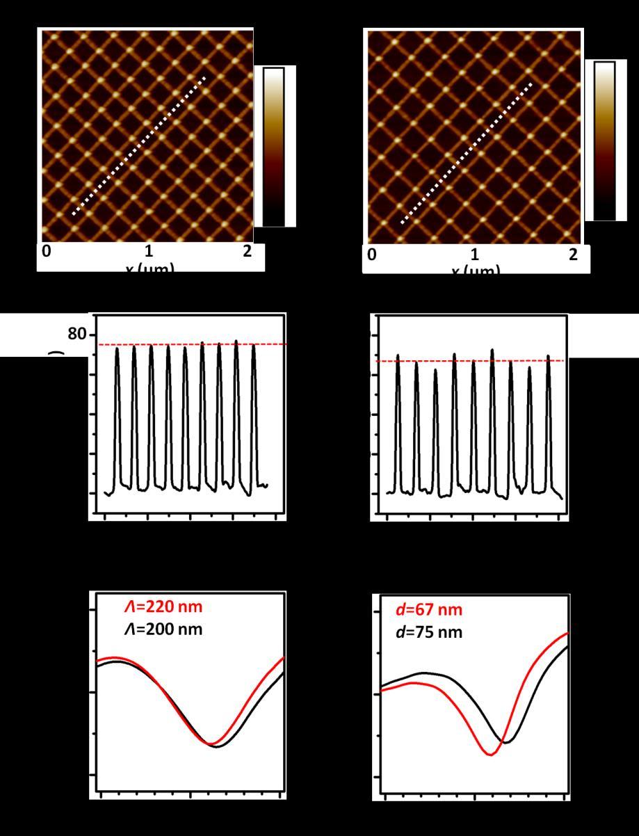 Supplementary Figure 3 Comparison of nanostructures with pitch size of 200 and 220 nm.
