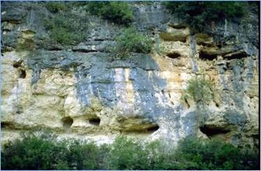 Geology of Edwards Aquifer Primary geologic unit is Edwards Limestone one of the most permeable and productive