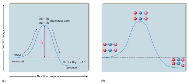 the reaction coordinate and course of a chemical reaction elementary reaction BrNO ö NO +Br molecularity?