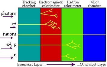 Measuring tracks Precise measurement of the particle tracks - curvature - in the magnetic field - is the basis of the momentum reconstruction of the particle.