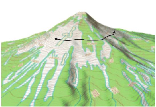 Contour lines on a topo map are always perpendicular to gravity. Contour lines are lines of constant elevation.