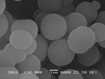 A B C D Fig. 2. SEM microphotographs of poly(st-co-dvb) particles prepared by precipitation polymerization composed of various concentration of monomers (50/50 St/DVB) with 1 wt.