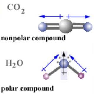 Functional groups (Groups of atoms attached to a carbon skeleton) Water Properties of water: a.