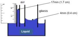 Station 4 Overcoming Gravity Water can literally climb up thin tubes due to its cohesive and adhesive properties, thus demonstrating capillary action. Does Liquid X have the same property? 1.