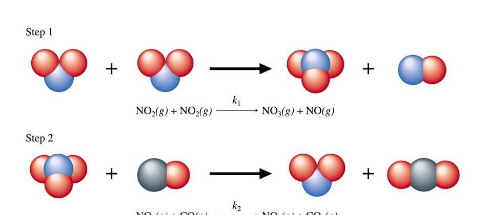 Equilibrium arises through dynamic balance between forward and back reactions Forward rate = k 1 [NO ][NO ] = k 1 [NO ] Back rate = k -1 [NO 3