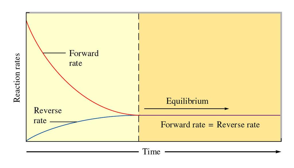 Kinetics of Approach to Equilibrium At eqbm.
