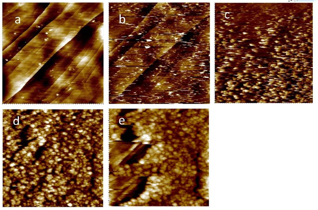 In-situ observation of SEI on HOPG electrode surface during charging circle of a Li ion battery cell the first circle AFM images of HOPG surface scanned at