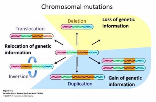 Lecture 9 Mutation and ge