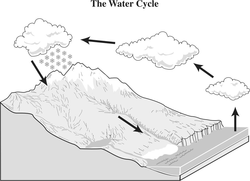 Use the information to answer the following question(s). Water ycle ynamics The total amount of water on Earth is nearly constant, although the location and forms of water are continuously changing.