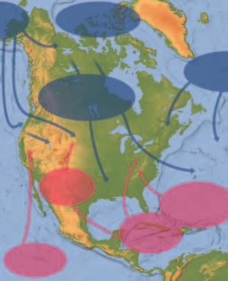 Maritime polar (Pacific) air masses Major Air Masses Over the United States Arctic air masses Figure 12-3 Each of the major air masses that affects weather in the United States has a similar