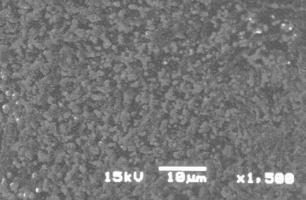 202 Removal of Chromium from Aqueous Solution Using Hybrid Membrane of Chitosan and Silicon Dioxide 80 Fig. 1 SEM pictures of hybrid membrane of chitosan and silicon dioxide.